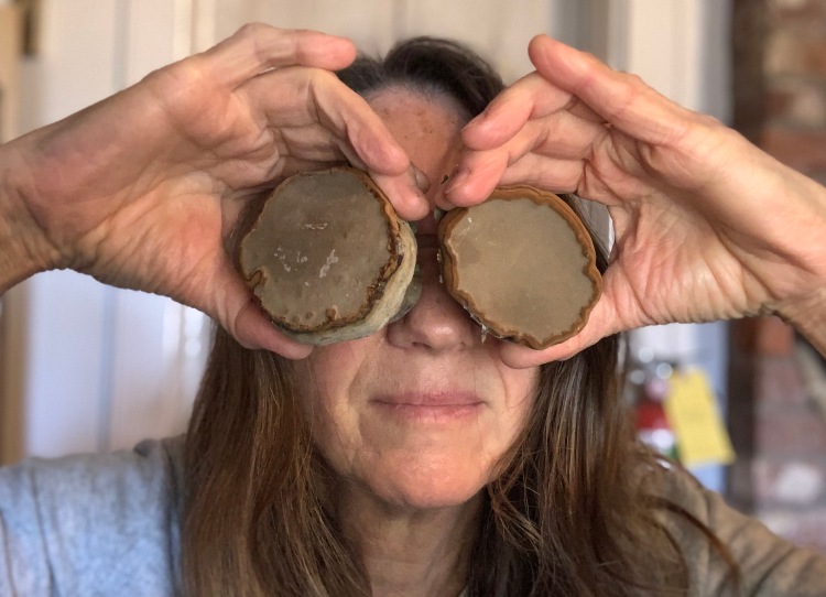 Two round fungus held up to eyes as if binoculars - a surreal image that intends to imply interconnectedness of body and world